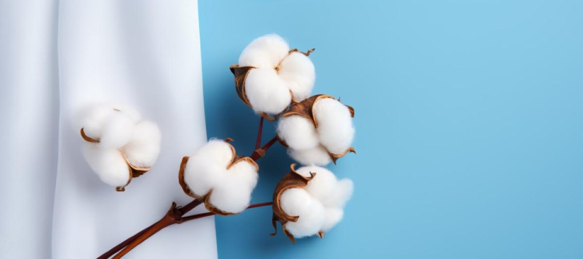cotton industry challenges blog header