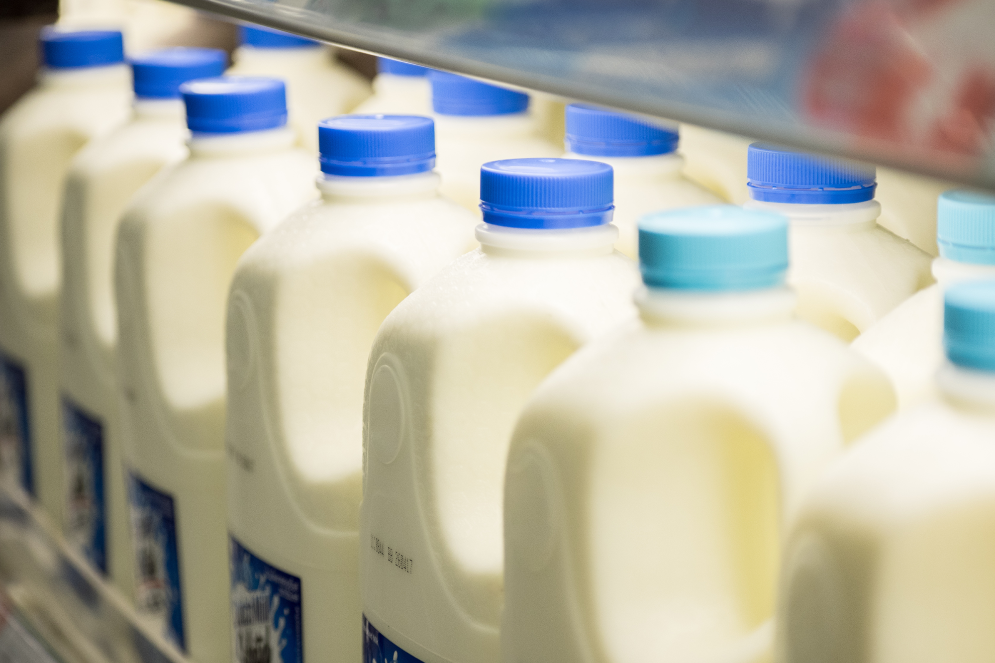 Bottled NZ Milk In Supermarket Blue Top
