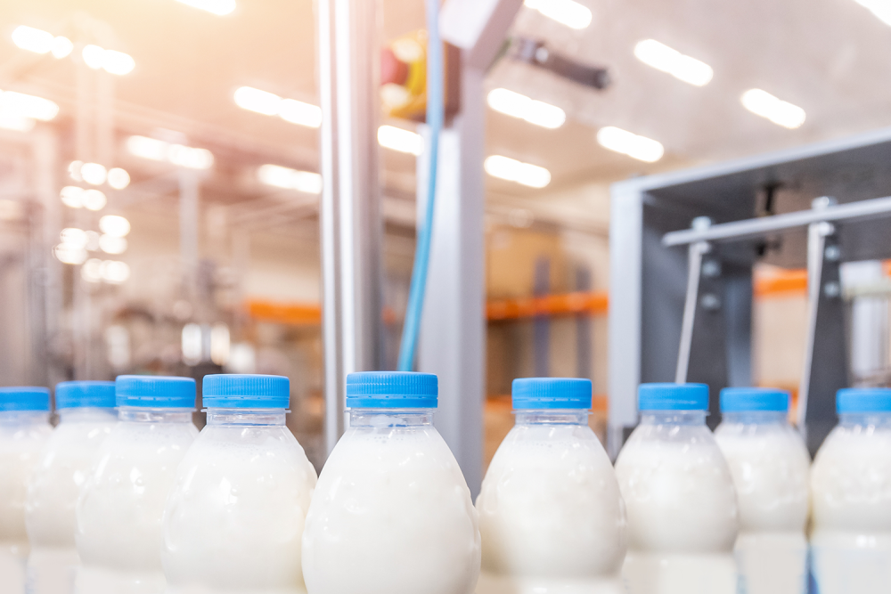 Milk Bottles In A Factory Production Line