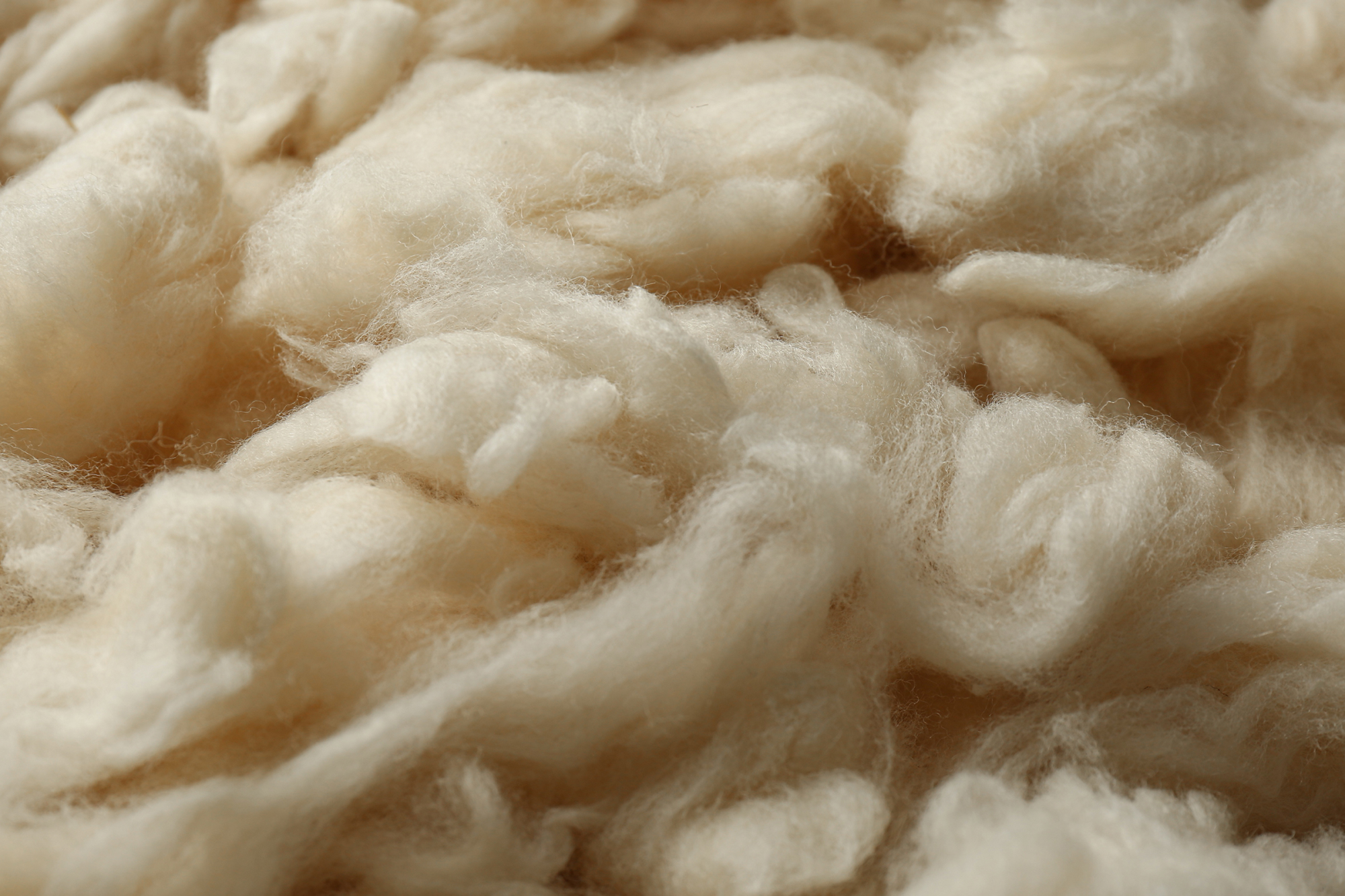 Close Up Of Merino Wool