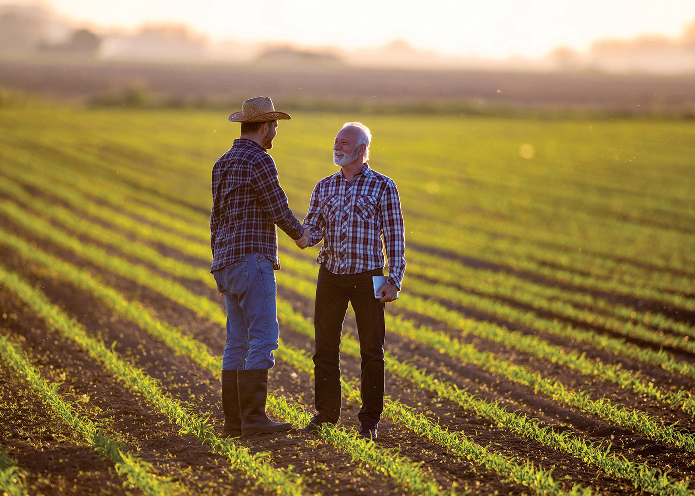 Two Men Exchanging A Handshake In A Field