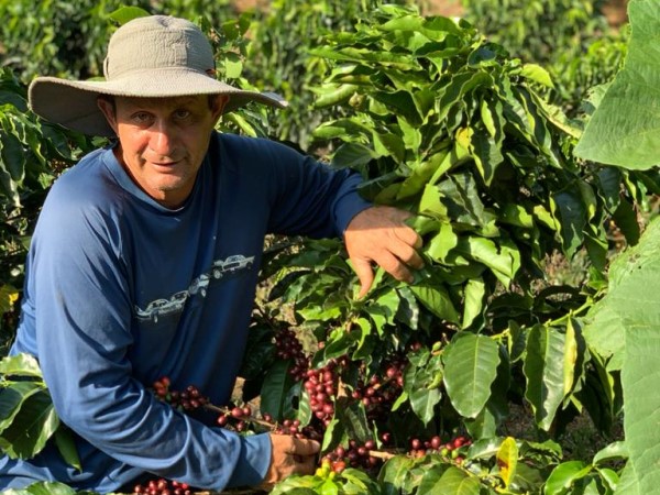costa rica coffee producer