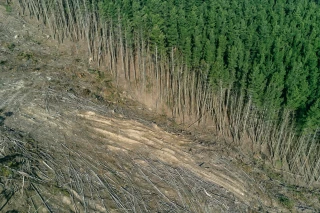 eudr deforestation banner