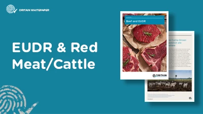 beef eudr resource card