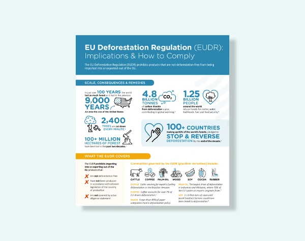 eudr infographic banner
