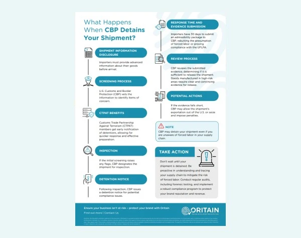 cbp detains shipment infographic tile