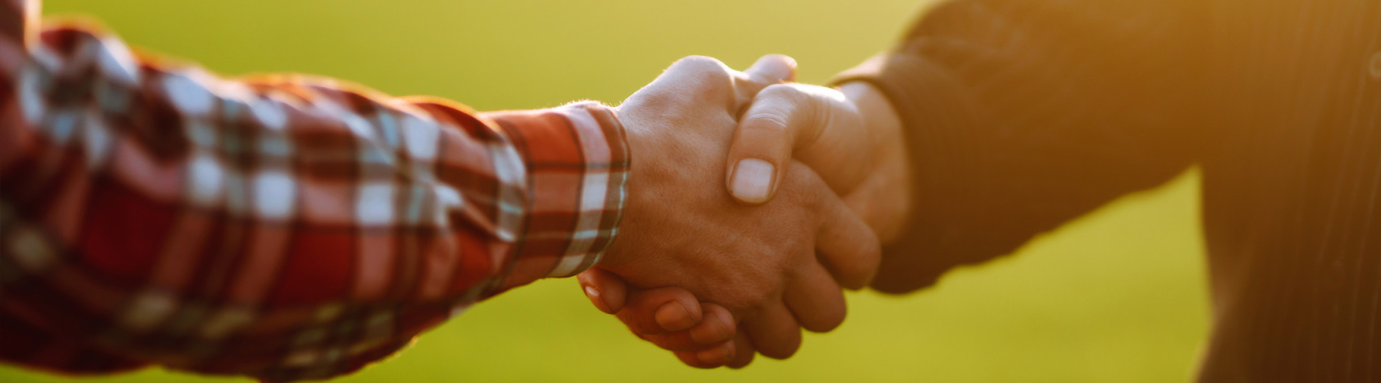 Two People Shaking Hands In Field