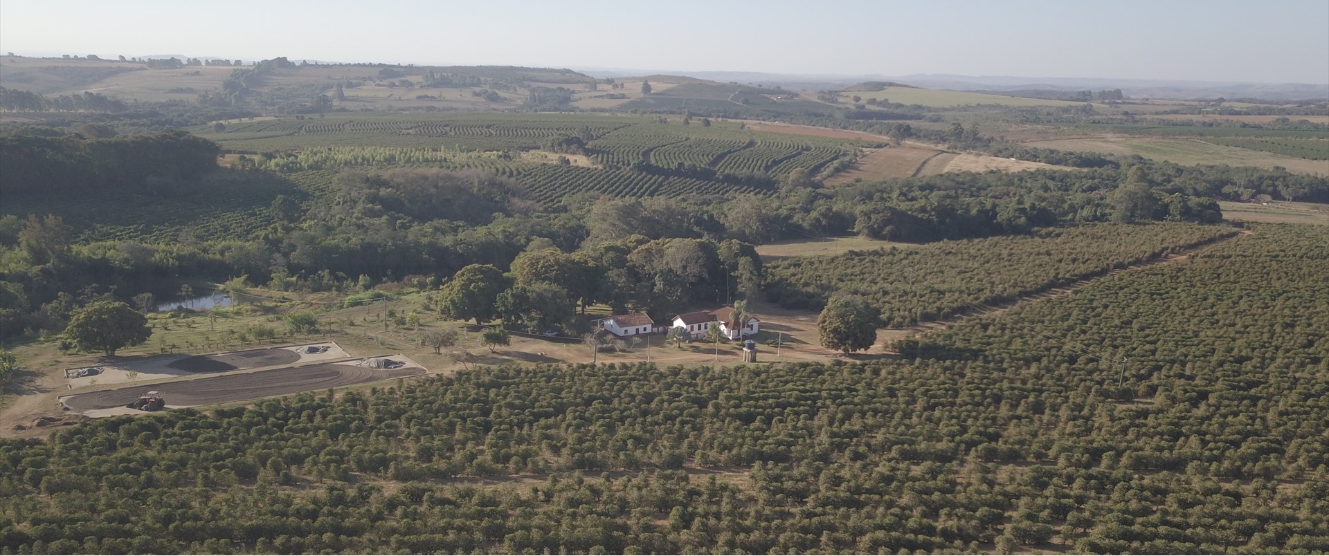 Cerrado Minerio Landscape