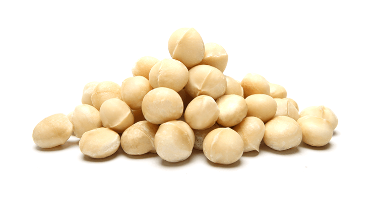 Macadamias raw nuts