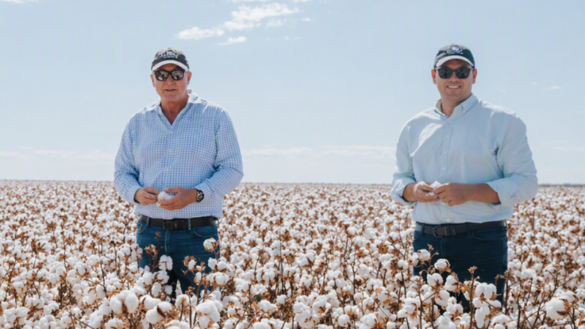 cubbie ag cotton field pr