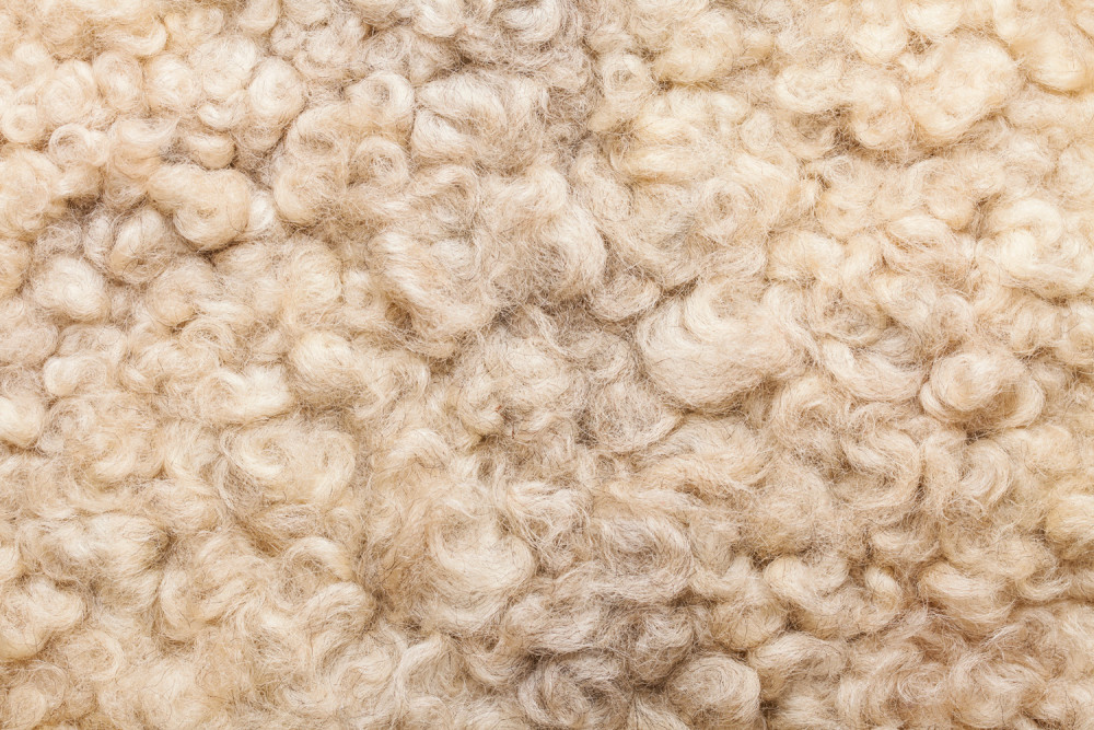 Close Up Of Sheep Fur