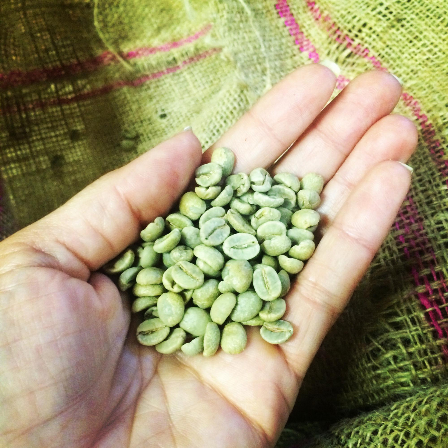 Green coffee beans